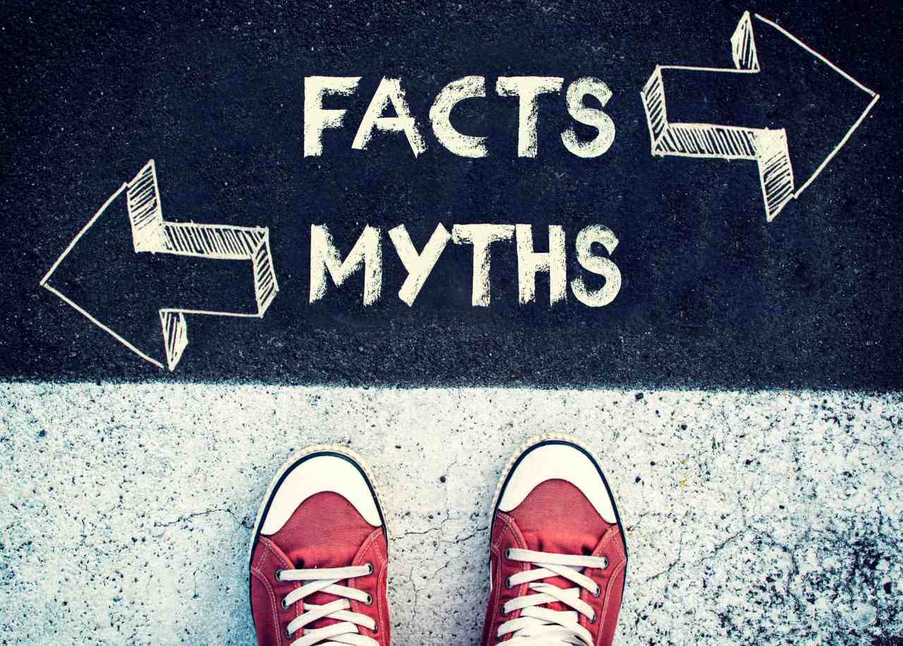 facts and myths drawn on a concrete using a chalk